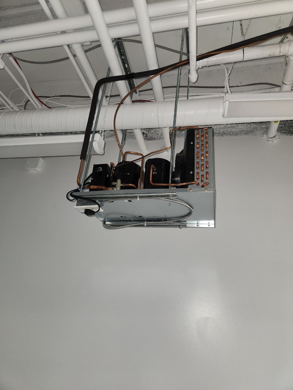 Overhead refrigeration equipment with copper refrigerant lines in a Calgary bakery